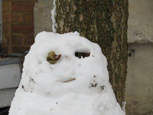 bonhomme de neige un