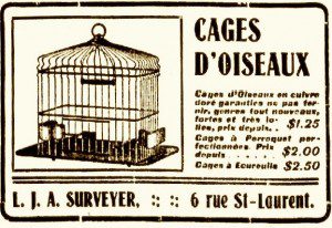cages oiseaux ecureuil perroquet