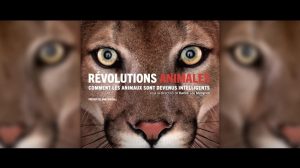 revolutions-animales-karine-lou-matignon